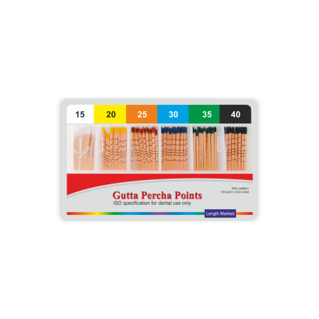 PRESIDENT DENTAL GUTTA PERCHA POINTS - MM İşaretli 120 Adet